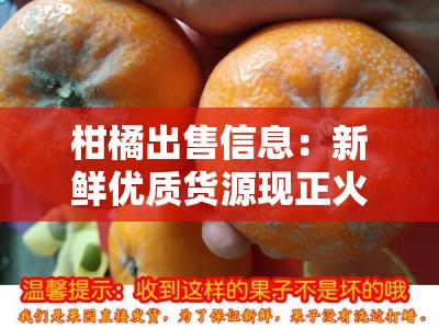 柑橘出售信息:新鲜优质货源现正火热销售中