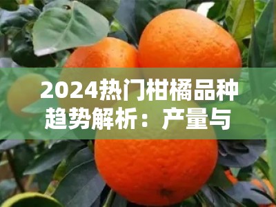 2024热门柑橘品种趋势解析:产量与品质兼优的种植新选择