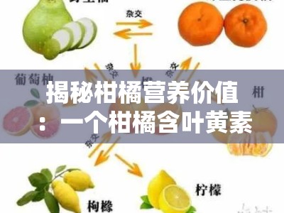 揭秘柑橘营养价值:一个柑橘含叶黄素多少克?专家解析含量奥秘