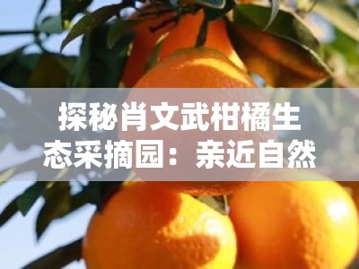 探秘肖文武柑橘生态采摘园:亲近自然乐享田园鲜果