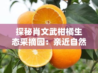 探秘肖文武柑橘生态采摘园:亲近自然乐享田园鲜果