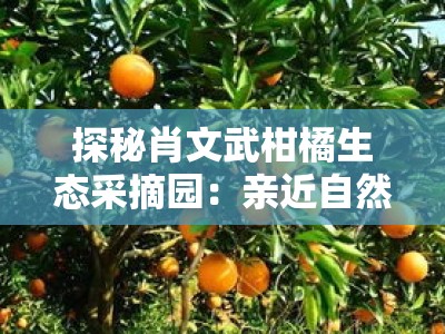 探秘肖文武柑橘生态采摘园:亲近自然乐享田园鲜果