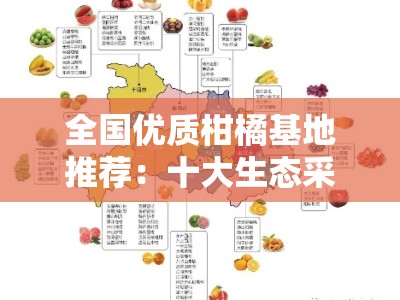 全国优质柑橘基地推荐:十大生态采摘园不容错过!