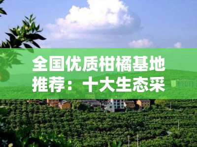 全国优质柑橘基地推荐:十大生态采摘园不容错过!