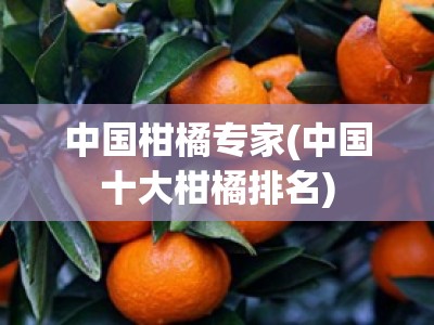 中国柑橘专家(中国十大柑橘排名)