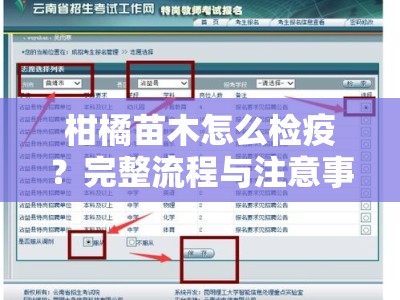 柑橘苗木怎么检疫?完整流程与注意事项全解析