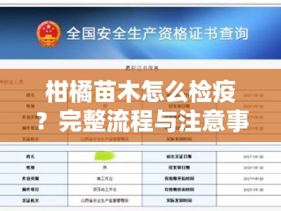 柑橘苗木怎么检疫?完整流程与注意事项全解析