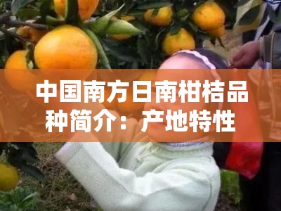 中国南方日南柑桔品种简介：产地特性与栽培技术解析