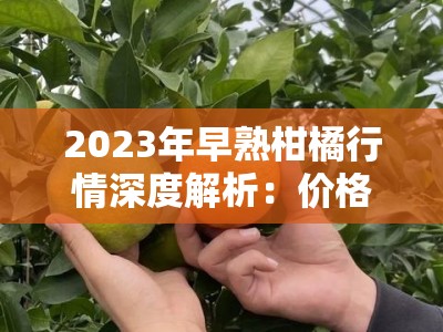 2023年早熟柑橘行情深度解析:价格走势与市场供需全面观察