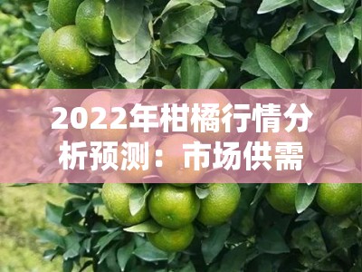 2022年柑橘行情分析预测:市场供需变化与价格走势深度解析