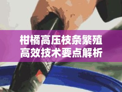 柑橘高压枝条繁殖高效技术要点解析：操作步骤与注意事项