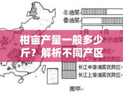 柑亩产量一般多少斤？解析不同产区产量差异及影响因素