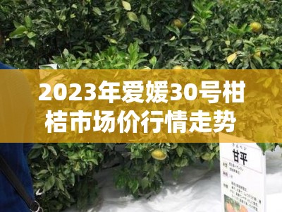 2023年爱媛30号柑桔市场价行情走势及影响因素深度分析
