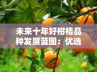 未来十年好柑桔品种发展蓝图：优选方向与种植指南