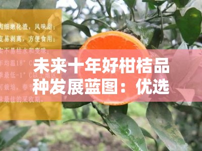 未来十年好柑桔品种发展蓝图：优选方向与种植指南