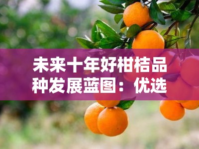 未来十年好柑桔品种发展蓝图：优选方向与种植指南