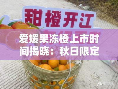 爱媛果冻橙上市时间揭晓：秋日限定果香甜蜜来袭