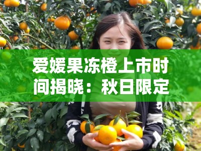 爱媛果冻橙上市时间揭晓：秋日限定果香甜蜜来袭