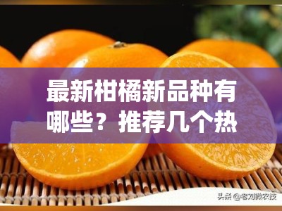最新柑橘新品种有哪些？推荐几个热门柑桔新品种(柑橘十大优良品种)