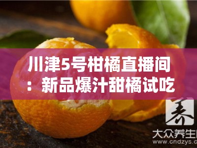川津5号柑橘直播间：新品爆汁甜橘试吃大会，果农直供限时特惠