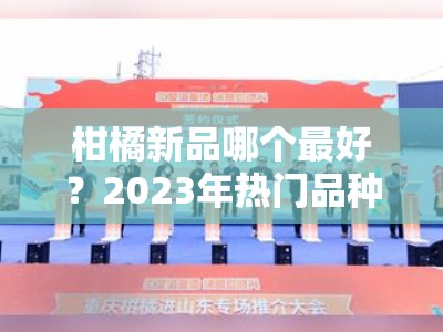 柑橘新品哪个最好？2023年热门品种对比评测与推荐