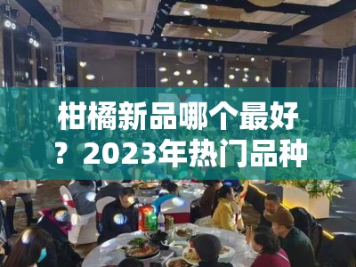 柑橘新品哪个最好？2023年热门品种对比评测与推荐