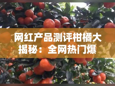 网红产品测评柑橘大揭秘：全网热门爆款品种深度实测与口感对比