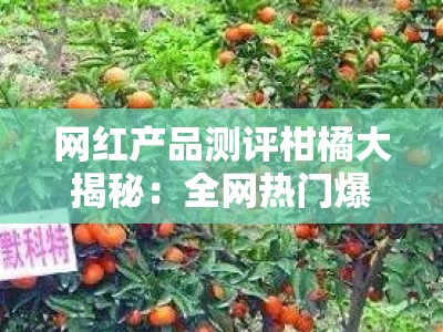 网红产品测评柑橘大揭秘：全网热门爆款品种深度实测与口感对比