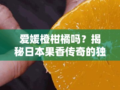 爱媛橙柑橘吗？揭秘日本果香传奇的独特口感与栽培奥秘！