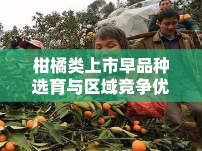 柑橘类上市早品种选育与区域竞争优势解析