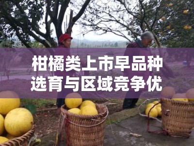 柑橘类上市早品种选育与区域竞争优势解析