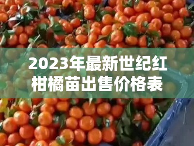 2023年最新世纪红柑橘苗出售价格表（产地直销，量大优惠）