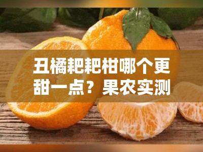 丑橘耙耙柑哪个更甜一点？果农实测甜度对比大揭秘