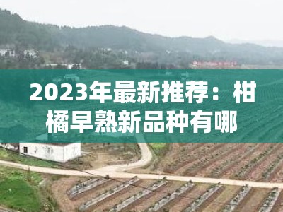 2023年最新推荐：柑橘早熟新品种有哪些？特性、栽培技术及市场前景解析