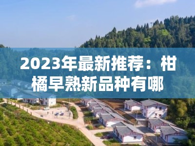 2023年最新推荐：柑橘早熟新品种有哪些？特性、栽培技术及市场前景解析