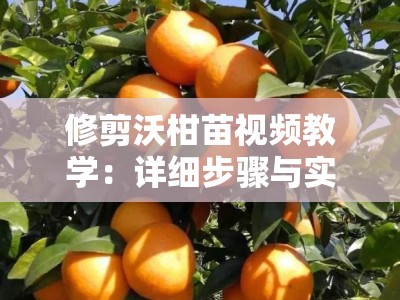 修剪沃柑苗视频教学：详细步骤与实用技巧，新手必看！