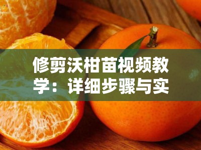 修剪沃柑苗视频教学：详细步骤与实用技巧，新手必看！