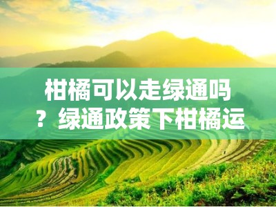 柑橘可以走绿通吗？绿通政策下柑橘运输的疑问全解析