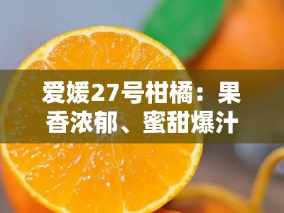 爱媛27号柑橘：果香浓郁、蜜甜爆汁的柑橘新贵，解锁春日味蕾盛宴！