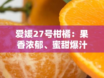 爱媛27号柑橘：果香浓郁、蜜甜爆汁的柑橘新贵，解锁春日味蕾盛宴！