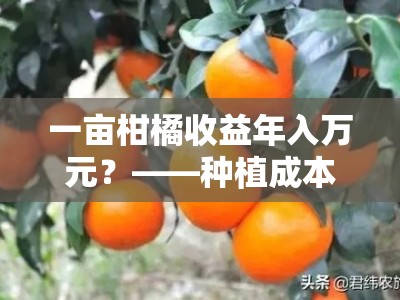 一亩柑橘收益年入万元？——种植成本与利润对比分析