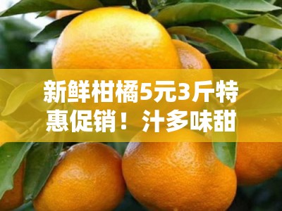 新鲜柑橘5元3斤特惠促销！汁多味甜现摘现卖，快来抢购