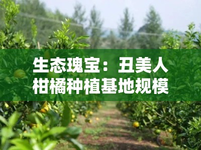 生态瑰宝：丑美人柑橘种植基地规模化示范引领绿色产业新地标