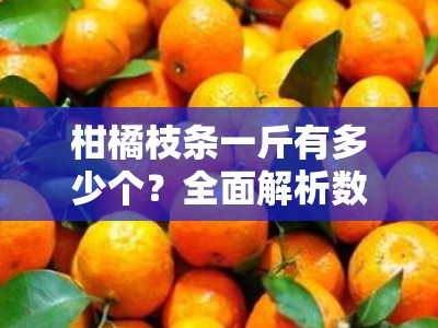 柑橘枝条一斤有多少个？全面解析数量估算与测量技巧