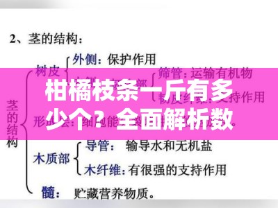 柑橘枝条一斤有多少个？全面解析数量估算与测量技巧