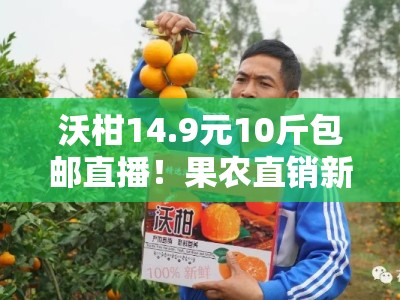 沃柑14.9元10斤包邮直播！果农直销新鲜采摘，直播间限时秒杀火热开播中