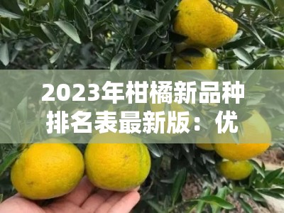 2023年柑橘新品种排名表最新版：优质品种榜单与选种指南