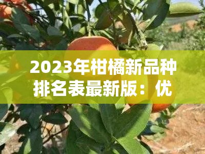 2023年柑橘新品种排名表最新版：优质品种榜单与选种指南