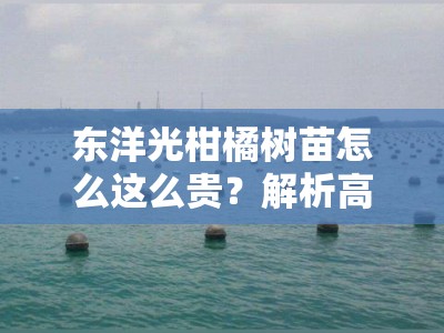 东洋光柑橘树苗怎么这么贵？解析高价背后的品种优势与市场因素