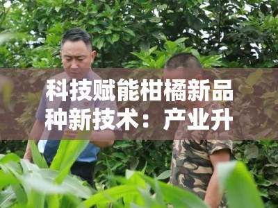 科技赋能柑橘新品种新技术：产业升级与绿色栽培创新实践